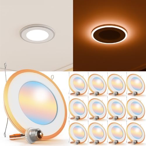 CycevSun 12 Pack 6 Inch LED Recessed Lighting with Night Light ...