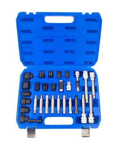 30pcs Alternator Pulley Removal and Installation Tool Kit, Clutch Free Wheel Removal Socket Bit Set for Audi, BMW, Ford, GM, Mercedes-Benz, Porsche, Volvo, Skoda, Volkswagen and More Professional
