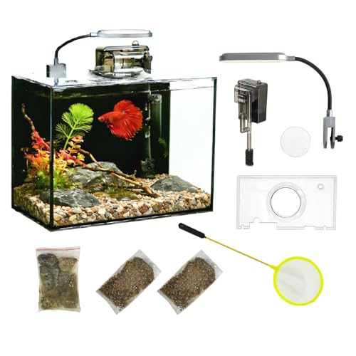 2 Gallon Glass Aquarium Kit with Filter & LED Light