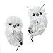 Kurt Adler 5.1" Silver Hanging Owl Christmas Ornament 2 Assorted