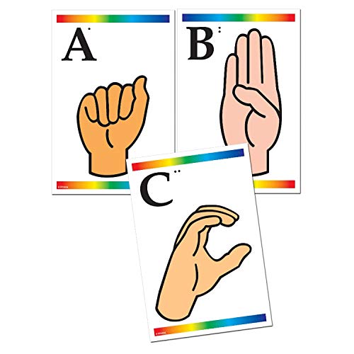 Carson Dellosa Education IF-23004 Sign Language & Braille Learning Cards, 6  x 9 