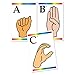 Carson Dellosa Education Sign Language & Braille Learning Cards