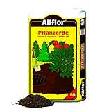 Allflor Pflanzerde I 1 x 60 Liter Beutel I Erde gebrauchfertig, aufgekalkt, aufgedüngt I Blumenerde für Pflanzungen im Garten oder im Kübel I Schnelles und optimales Wachstum
