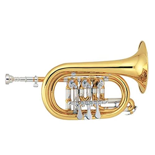 Gold Lacquer Rotary Valve Bb Cornet