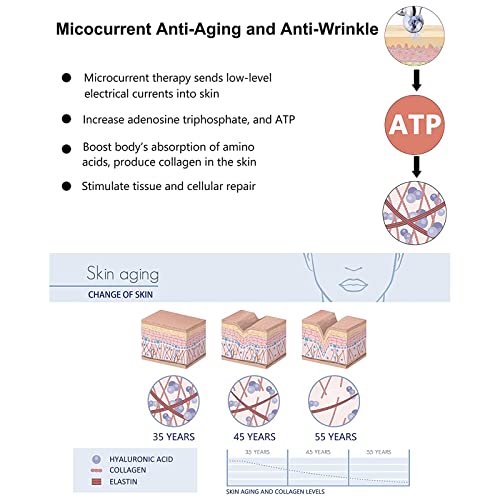 Massageador de lifting facial Microcurrent – 2023 Novo dispositivo de lifting facial de microcorrent