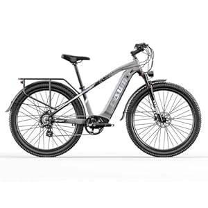 Cysum Speedy elektrische fiets, 29” E-mountainbike voor volwassen man vrouw, e-bike met 48v 672Wh lithoum batterij actieradius 100-120km,75Nm, hydraulische rem, 7 Snelheden,e-mtb