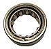 SKF R1535-TAV Cylindrical Roller Bearings