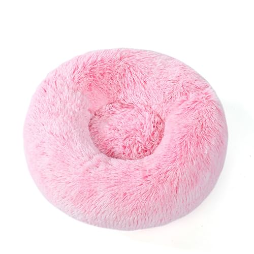 [ADSNS] 50 ybgxbh xbh ybgNbV ybg}bg J[33 ybg\t@ Eh^ ی^ h[icybgxbh 薰 ӂӂ  g ~ h 5TCYI 􂦂 ӂ