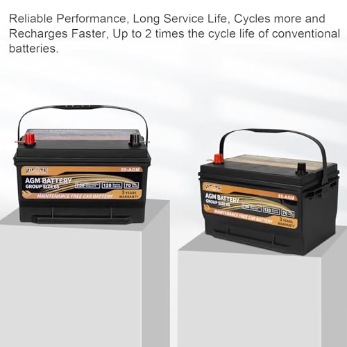 Weize Platinum AGM Group 65 Battery