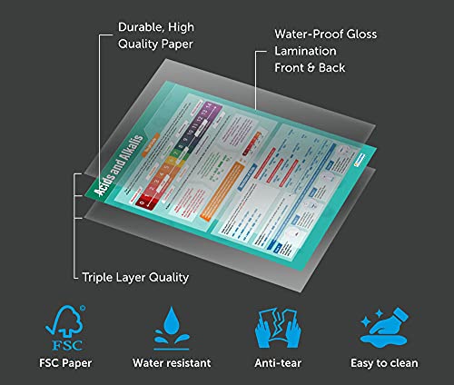 Daydream Education Acids And Alkalis | Science Posters | Laminated Gloss Paper Measuring 33” X 23.5” | Stem Charts For The Classroom | Education Charts #TOP3