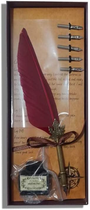 Back to School Gift Copper Feather Pen with Ink and Steel Tips Calligraphy Quill Pen Gift Set (black)