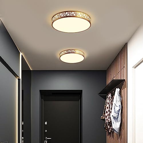 Lámpara de techo moderna con decoración premium Dere de 19.7 pulgadas 5