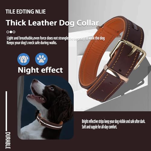 Hochbelastbares Reflektierendes Echtleder Hundehalsband, Verstellbares Weich Gepolstertes Halsband für Mittelgroße, Große und Extra Große XL-Hunderassen(Braun M)