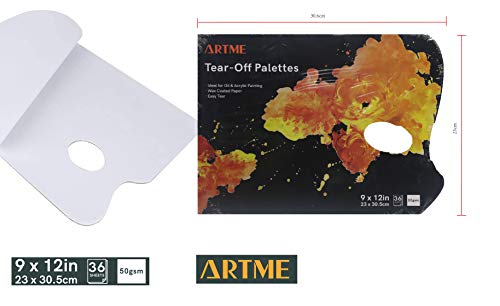 EXERZ – Pacote com 2-36 folhas/paleta de descarte de papel 23 x 20,5 cm/50 g/m² de papel revestido c