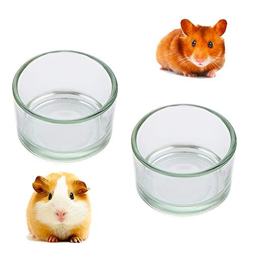 DQITJ 2 Pcs Glass Hamster Food and Water Bowl
