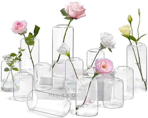 Image of ZENS Bud Vases in Bulk Set of 12, Modern Small Glass Vases for Flower Clear Bud Vases for Wedding Centerpiece, Blown Thicker Small Vase for Flowers, Wedding Party Decorative, Home Bathroom Decor