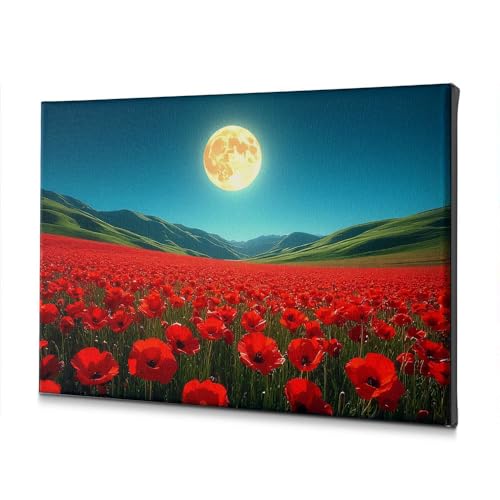 Toile coquelicots rouges lune pour habiller un petit mur vide