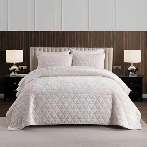 Homzard Velvet Quilt Set Queen Size Bedding Set, Cream White Velvet Comforter, Luxury Bedspreads Queen Size, Cream White Bedding,Soft Lightweight Quilts for All Season