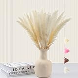 Poiuyoiu Pampasgras Trockenblumen Beige Trockenblumenstrauß Natürliche Pampasgras Deko Handgefertigte 30 Stück, Trockenblumen Deko Pampasgras mit Flauschigen Blumen DIY (42-45 cm)