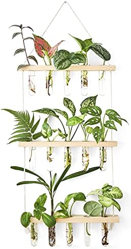 Mkono Plant Propagation Tubes, 3 Tiered Wall Hanging Plant Terrarium with Wooden Stand Mini Test Tube Flower Vase Glass Planter for Hydroponic Plant Cutting Home Garden Office Decor Plant Lover Gift