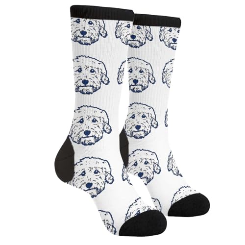 SEVEBJ Niedliche Goldendoodle-Socken, Unisex, lustige Socken, flippig, verrückt, cool, Crew-Kleid, Socken, Walhaie, Süßes Goldendoodle, Einheitsgröße SEVEBJ Niedliche Goldendoodle-Socken, Unisex, lustige Socken, flippig, verrückt, cool, Crew-Kleid, Socken, Walhaie, Süßes Goldendoodle, Einheitsgröße