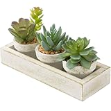 ニトリ(NITORI) フェイクグリーン 多肉 3pcsセット トレー付き ホワイト NITORI 8241592