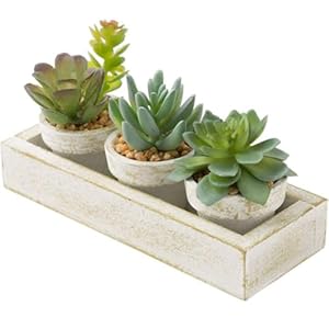 ニトリ フェイクグリーン 多肉 3pcsセット トレー付き ホワイト NITORI 8241592" 