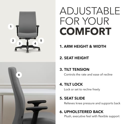 Image of HON Ignition 2.0 Ergonomic Office Chair, Lumbar Support, Desk Chair, Frost