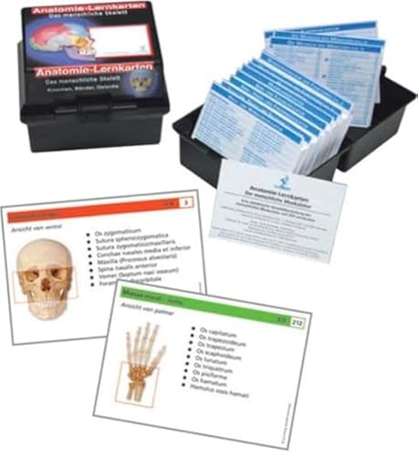 Anatomie Lernkarten menschliches Skelett: Anatomie-Lernkarten Knochen, Bänder und Gelenke