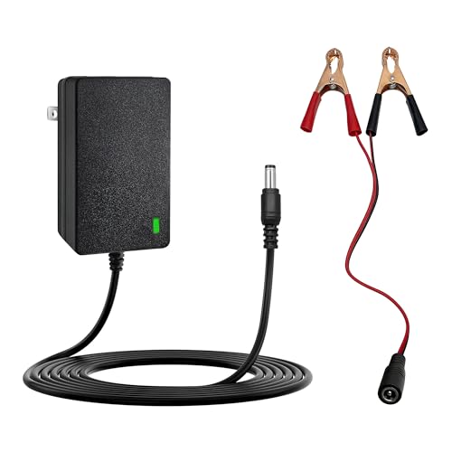 12V Charger with Alligator Clips