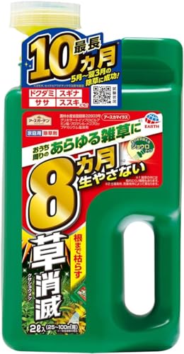 A[XK[f A[XJ}CY WEwbh 2L V[^Cv K[fjOp IWieBbVt