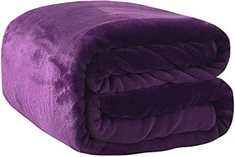 Artistic Fashionistax New Thermal Super Soft Velvet Faux Fur Mink Throw Blanket Soft Warm Thick Bed Sofa Cover Single Double King (Double - 150x200cm, Aubergine) — image 1