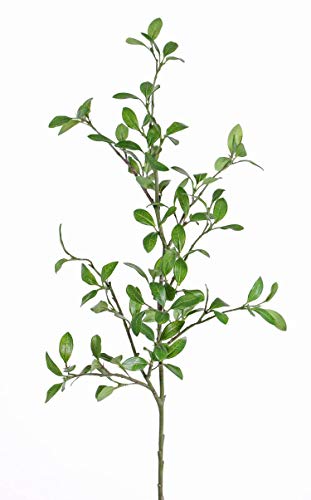 artplants.de Fake privet branch MENZEL, green, 3ft/105cm - Artificial twig/False privet branch