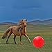 PLEURO Horse Ball Training Toy, Large Ball Horse Toys,Anti-Burst Horse Exercise Ball Toy with Inflator Pump for Horse Lamb Goat Enterainment Toy Ball (17