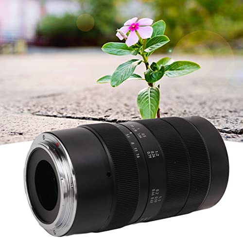 60mm APS C Macro Camera Lens 25,3 ° Kijkhoek Z Mount F2.8 APSC Macro Lens MC Multi Coating voor Bloem Fotografie - Afbeelding 5