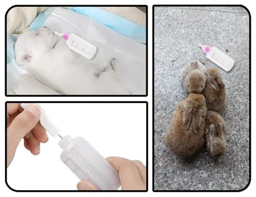KAPSING Aufzuchtflasche Haustier Set, 60mL Kleine Katze Hunde Aufzuchtflasche, Haustier Babyflasche Kit, Enthält Flasche, Saugern, Bürste und Durchgangsloch Nadel(Rosa)