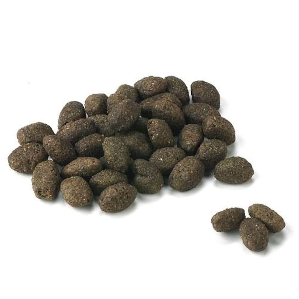 Fish4Dogs Finest Salmon Adult Dog Food, 12 kg : Amazon.in