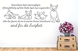 Hergestellt in Deutschland Wandaufkleber-Wandtattoo-Wandsticker ***Katzenhaare kann man wegfegen (individuelle Zusammenstellung + Größen.- und Farbauswahl)