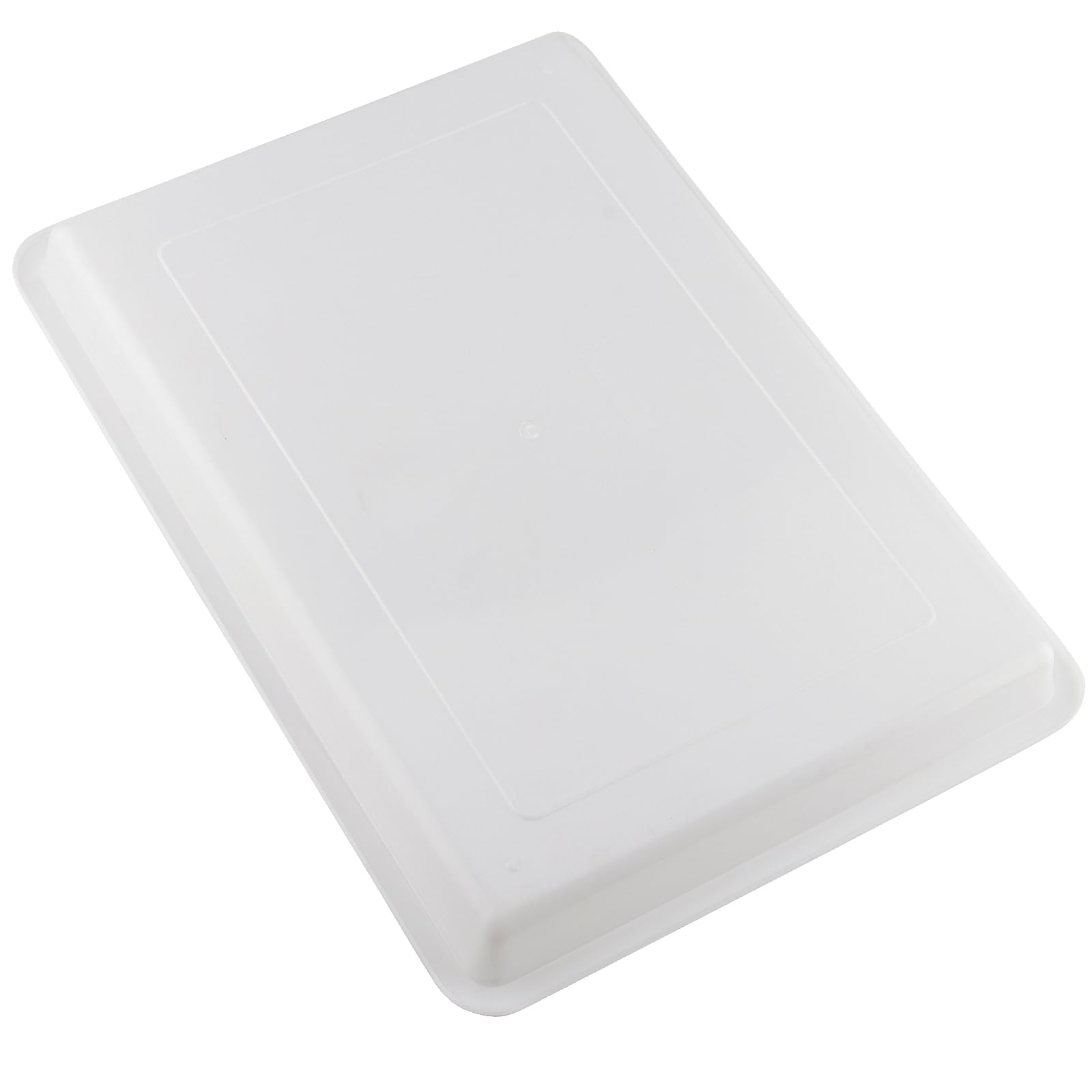 MOUYAT 10 vassoi grandi in plastica per attività artistiche, organizer per scuola, casa, progetti fai da te, pittura, perline, forniture organizzative, 39 x 29 x 4 cm
