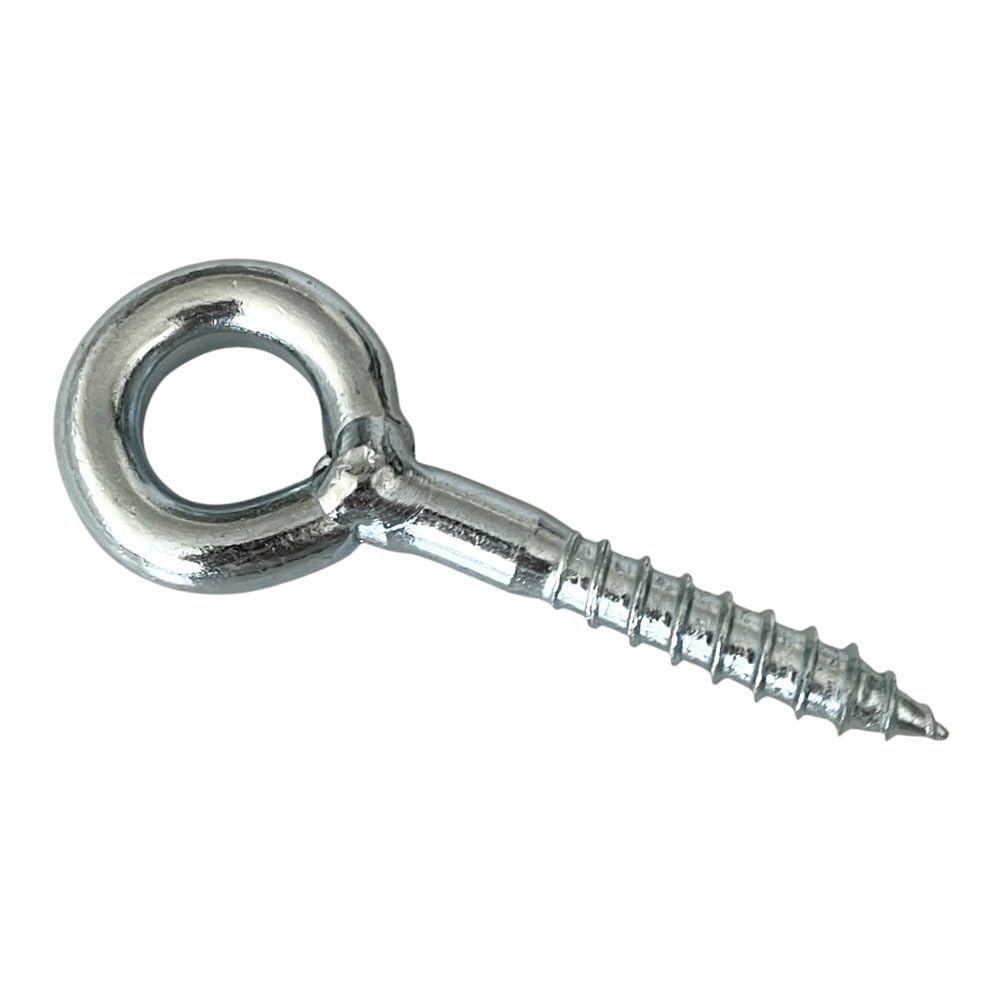 100 viti con occhiello Ø 8 mm x 80 mm