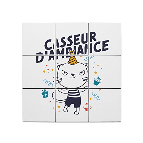 Carreaux céramique chat pour crédence de cuisine originale et décoration murale salon