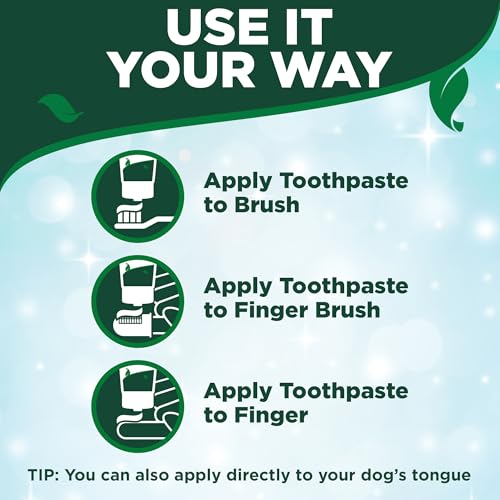 Kindfull Dog Toothpaste product image
