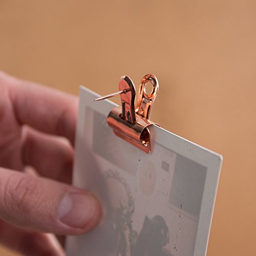 Suck Uk - Rose Drawing Push Pins | Office Desk School & Home Decor | Cork Board Tacks Paper Clips & Photo Binder | #TOP3