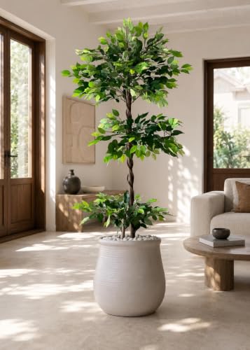 Image of Artificial Ficus Plant with Pot | 180 cm (6 ft) Tall | Premium Realistic Indoor Decorative Tree for Home, Office & Commercial Spaces
