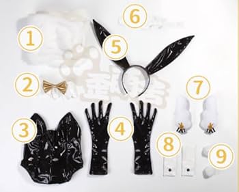 Amazon.co.jp: [エルフ森林] ルピー バニー コスプレ 衣装 勝利の女神