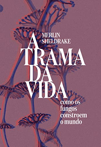 Trama da vida: como os fungos constroem o mundo