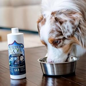 Ultra-Oil-Dog-Cat-Supplement-with-Hemp-Flaxseed-Fish-Oils-32oz-For-Dry-Skin-Dull-Coat-Hot-Spots-Dandruff-Allergies - Cucciolini Doodles   Ultra-Oil-Dog-Cat-Supplement-with-Hemp-Flaxseed-Fish-Oils-32oz-For-Dry-Skin-Dull-Coat-Hot-Spots-Dandruff-Allergies