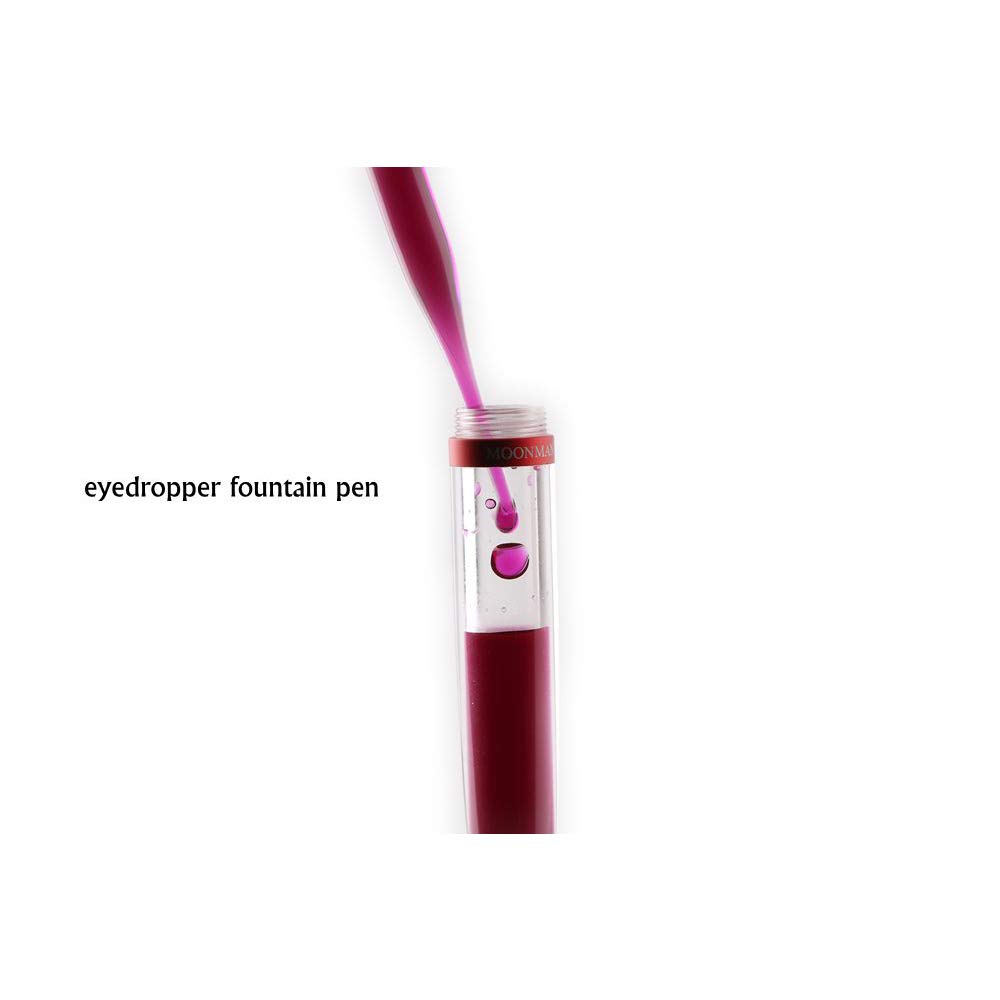 VIDOO Fontana Penna Occhio Dropper Grande capacità Inchiostro Contagocce Riempimento Penne Penna con Scatola Regalo per Gli Amici degli Studenti Famiglia - EF 0.38Mm
