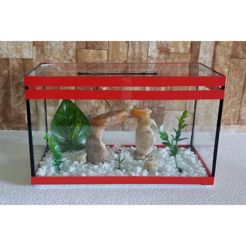 Aquário Beteira Retangular Decorada 4 Litros até a borda Peixe Betta Decorado Ornamentação Exclusiva