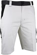 LMA Stretch Metal Free Painter's Bermuda Shorts